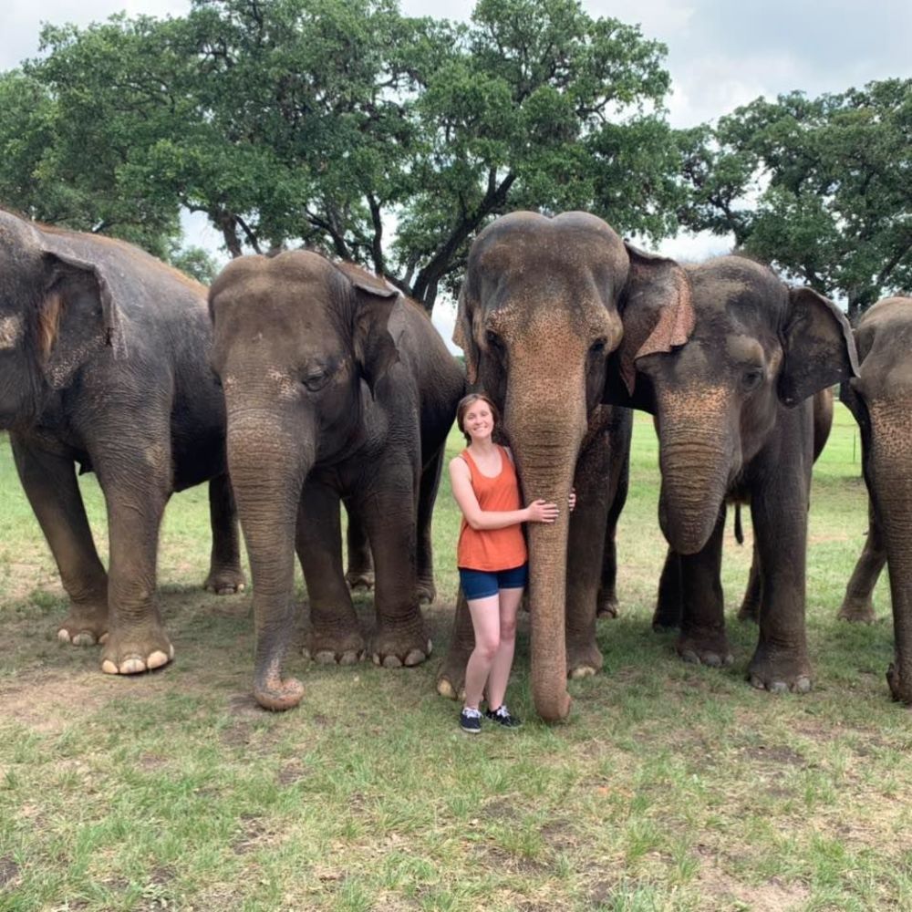 Meet your Posher, Chelsea